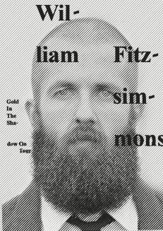 William Fitzsimmons – Gold In The Shadow Tour